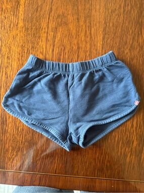 Pink Chicken Navy Blue Girls' Everyday Shorts